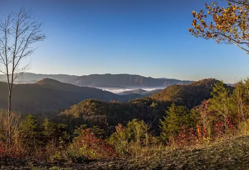 fall foliage in the smoky mountains