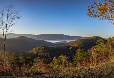 fall foliage in the smoky mountains