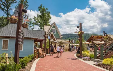 black bear village in anakeesta