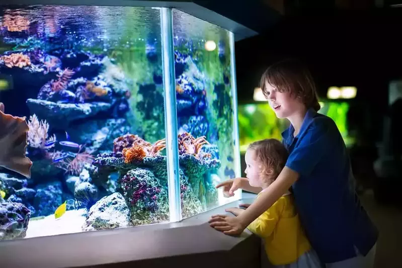 kids-at-the-aquarium