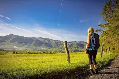 person looking out at mountains cades cove