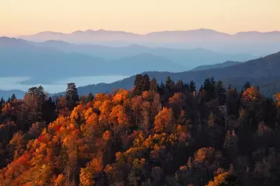 fall colors in smokies