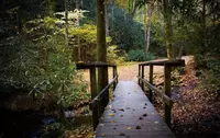 trail for hiking in the fall