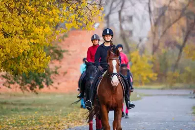 kids horseback riding in the fall