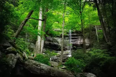 Rainbow Falls Trail in Smoky Mountains