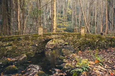 elkmont troll bridge in the fall