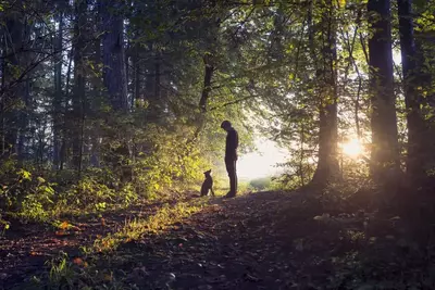 man and dog in the woods