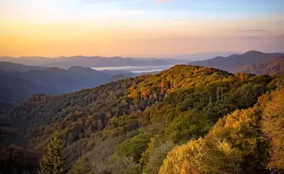 fall foliage in the Smoky Mountains