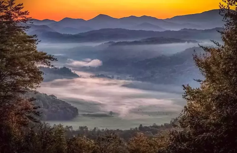 Autumn trees along the Foothills Parkway