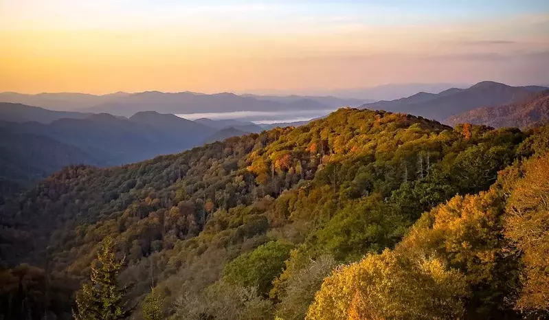 Autumn along Newfound Gap