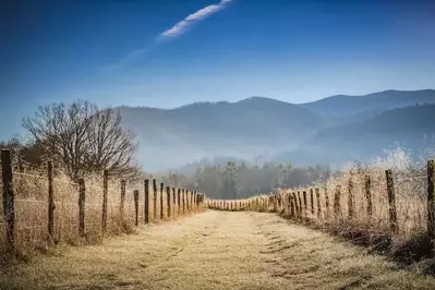 Cades Cove scenery