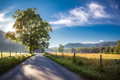 cades cove road