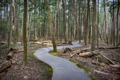 sugarlands valley nature trail in the smoky mountains