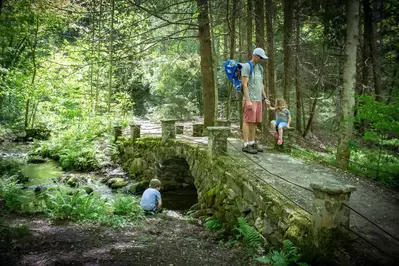 elkmont nature trail