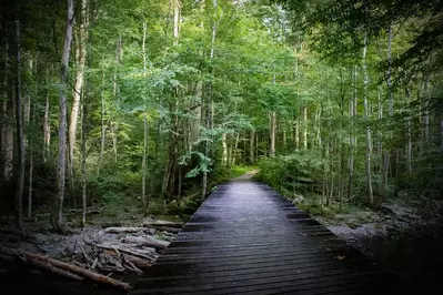 little river trail