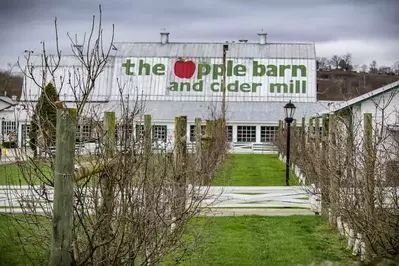 apple barn 