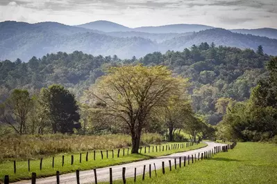 cades cove sparks lane