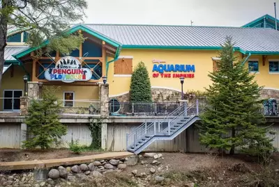 outside of Ripley's Aquarium of the Smokies in Gatlinburg