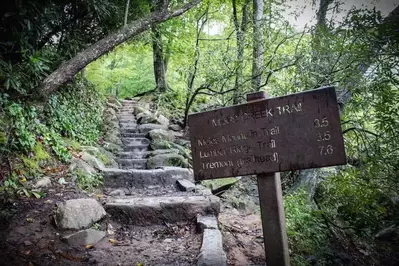 Meigs Creek Trail in the Smoky Mountains