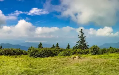 Andrews Bald in the Smoky Mountains