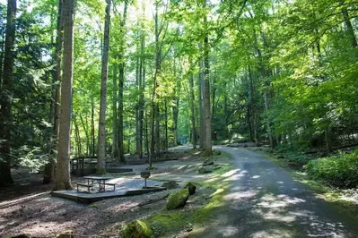 Chimney Picnic Area