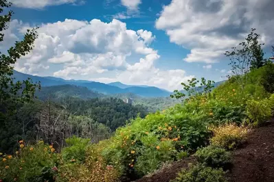 view from Anakeesta in Gatlinburg