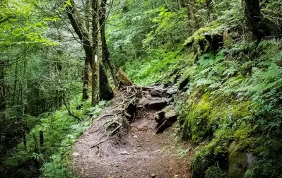 appalachian trail in the mountains