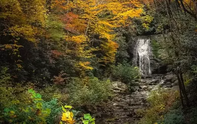 Meigs Creek in the Smoky Mountains