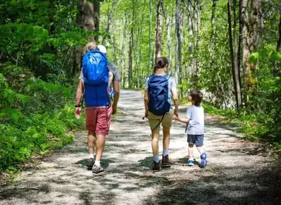 Family hiking along Little River Trail in the Smoky Mountains