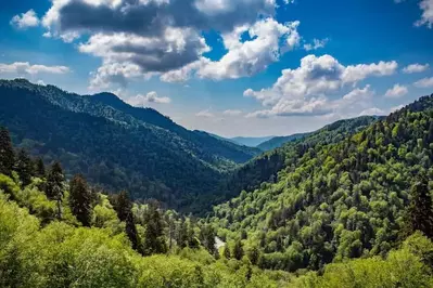 mortons overlook at newfound gap