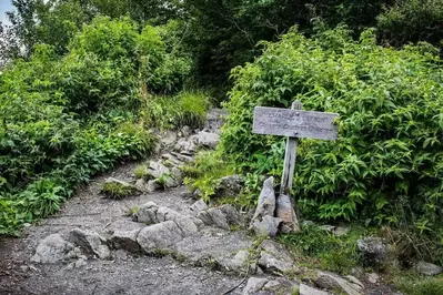 Charlie's Bunion Trail in the spring