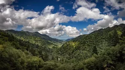 Newfound Gap in the Smoky Mountains