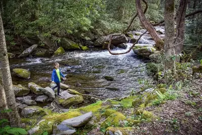 Middle Prong Trail in the Smoky Mountains