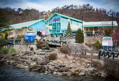 ripley's aquarium of the smokies