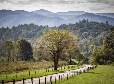 Cades Cove Loop Road