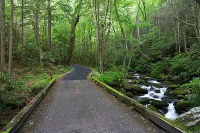 The scenic Roaring Fork Motor Nature Trail in the Smoky Mountains.