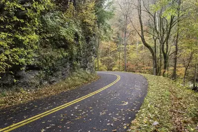 Little River Road in the Smoky Mountains.