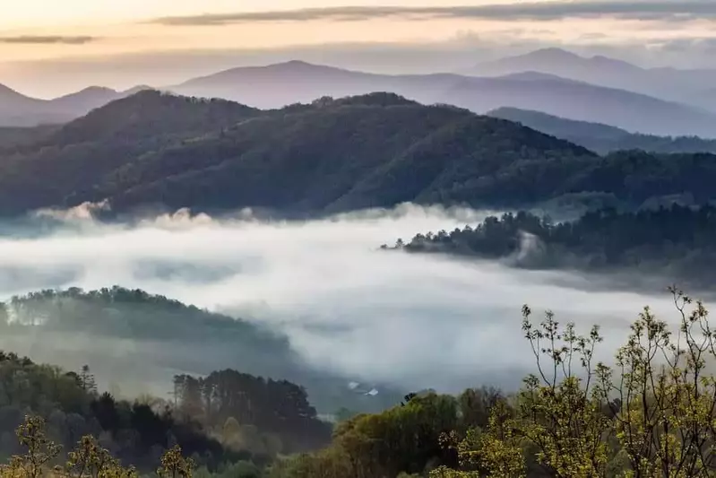 fod settled in the Smoky Mountains