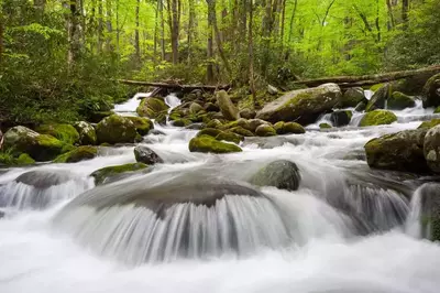 Rushing water along the Roaring Fork Motor Nature Trail.