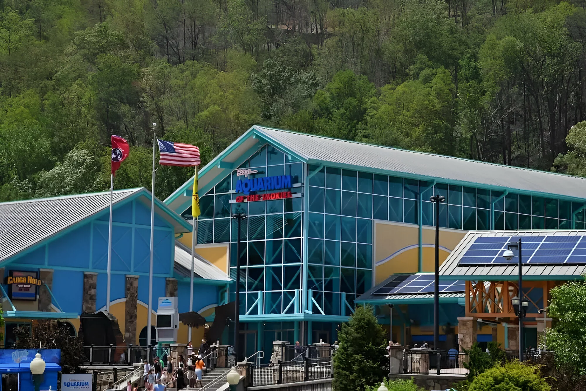 ripley's aquarium