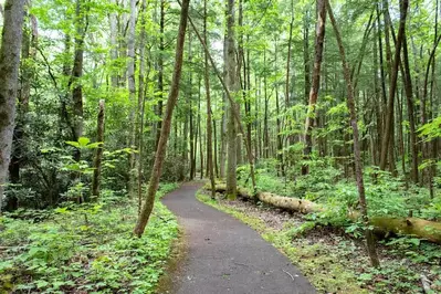 sugarlands valley nature trail