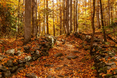 hiking trail in the Smoky Mountains during fall