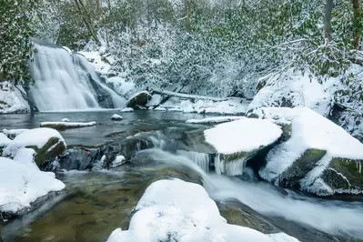 smoky mountains national park during winter