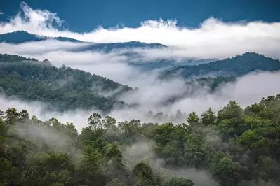 Smoky Days in the Smokies